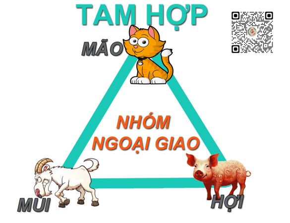 Dogo24h.vn > Tam Hợp Trong 12 Con Giáp
